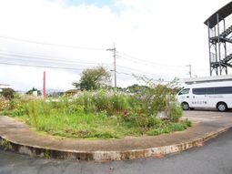 緑豊かな中庭