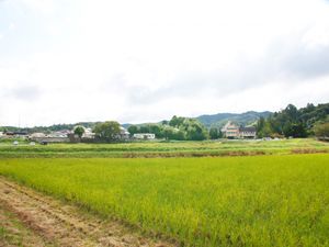 緑豊かな外観