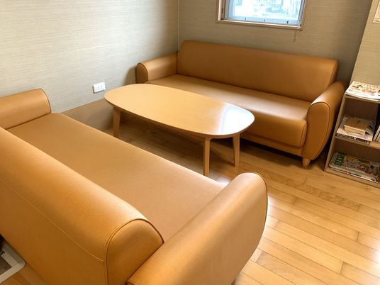 二脚のソファがある部屋