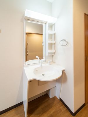 清潔な洗面台の設備