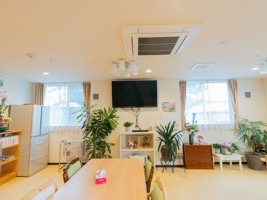 自然光の明るい部屋