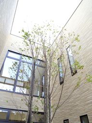 中庭の木々と建物