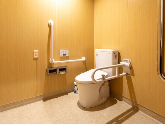 安全設備のトイレ