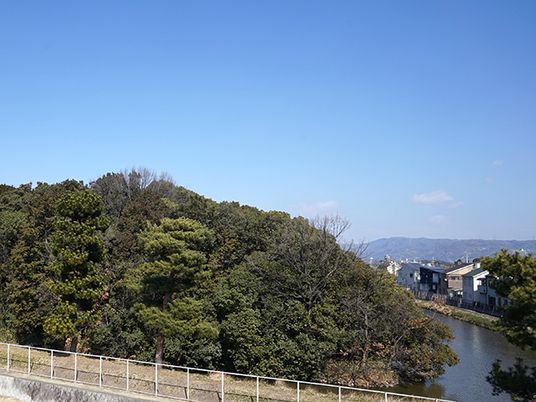 木々と川沿いの風景