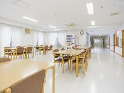自然光が入る広い廊下
