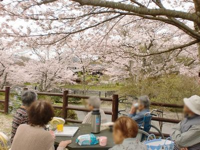 桜を楽しむテラス