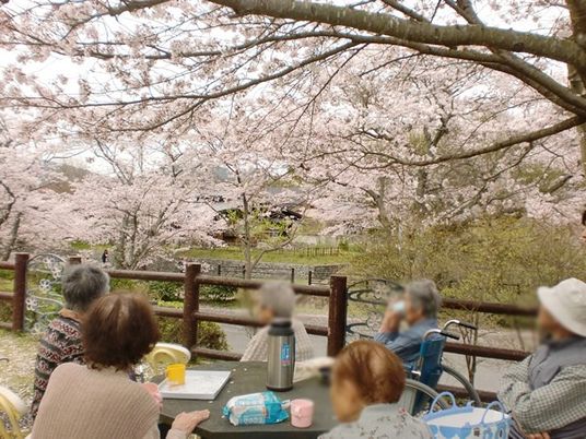 桜を楽しむテラス