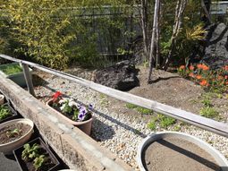 緑豊かな中庭の風景