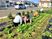 野菜を育てる人々