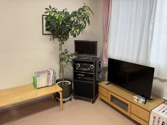 明るい居室の風景