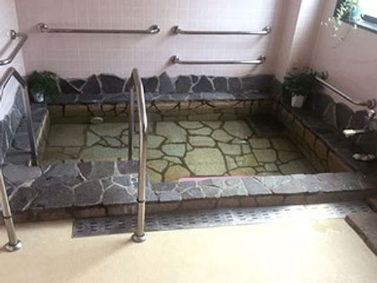 手すり付きの清潔な浴室