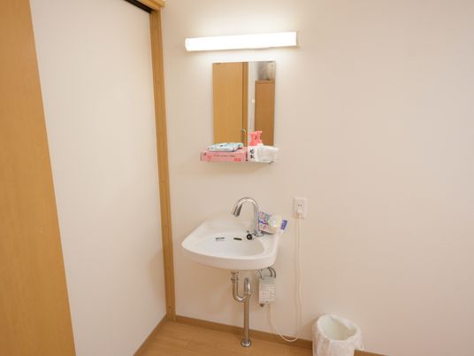 洗面台の上には鏡やライトが付いている。鏡前に物が置けるので、ハンドタオルや石鹸を並べられるようになっている。