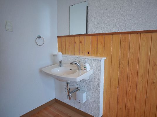 洗面所の壁と手洗い器