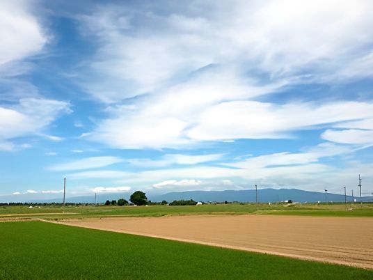 青空広がる田園風景