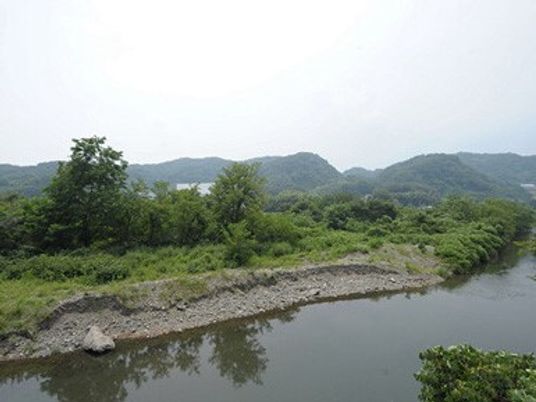 緑豊かな中庭の景色