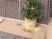 玄関先の装飾と鉢植えの玄関  