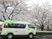 送迎車と桜並木  