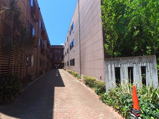 緑に囲まれた建物の外観