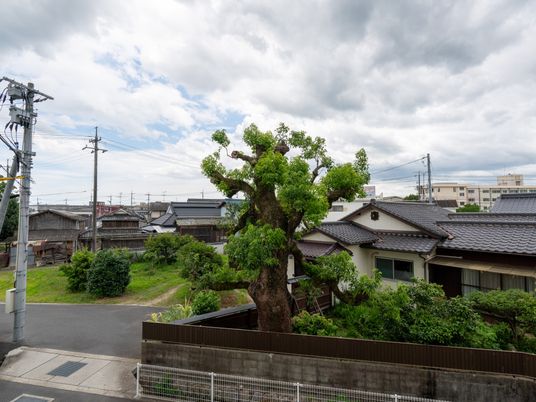 中庭の景観