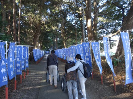 散歩道の様子