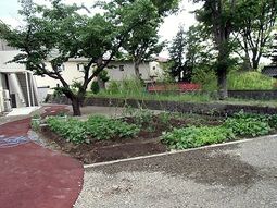 緑豊かな庭園風景