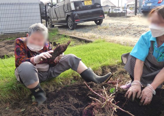 庭で作業する人々