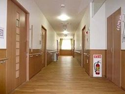 清潔感ある明るい廊下
