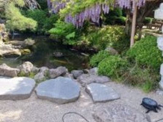 中庭の石畳と植栽  