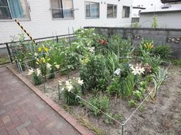 色とりどりの花が咲く庭