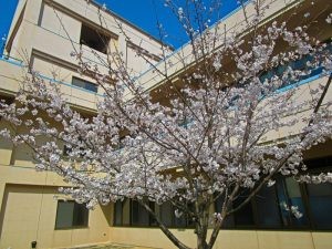 香色苑 デイサービスセンターの外観
