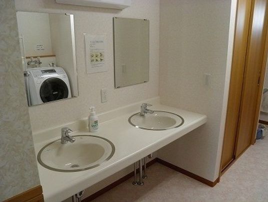 清潔な洗面台と洗濯機