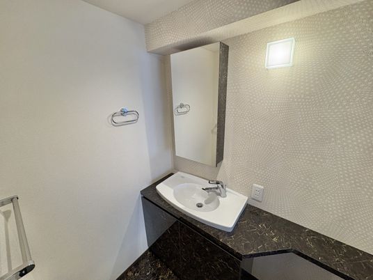 洗面台と鏡の空間