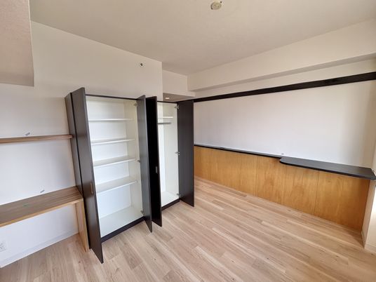 大きな収納付きの部屋