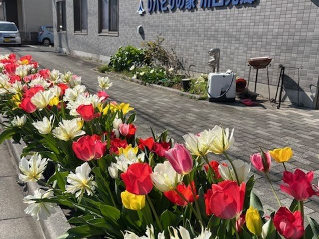 色鮮やかな花のある建物前 花壇 色とりどりの花々が美しい建物の前で、季節感を感じながら働くことができます。
