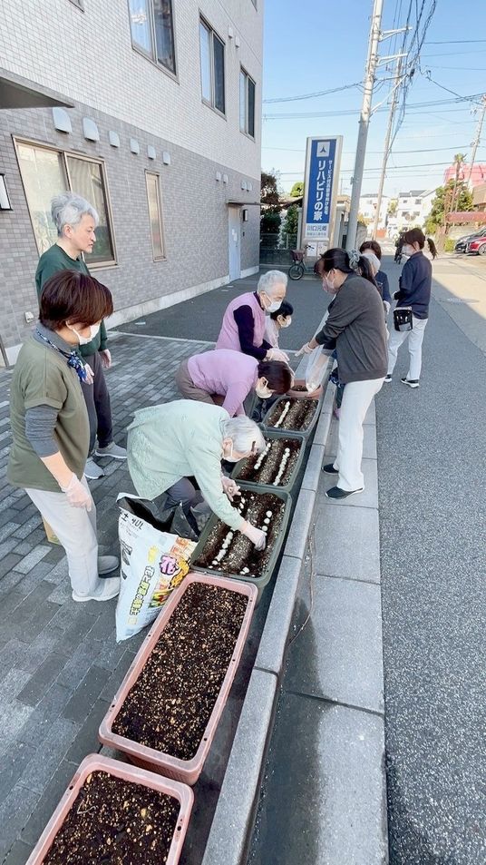 庭の植栽活動