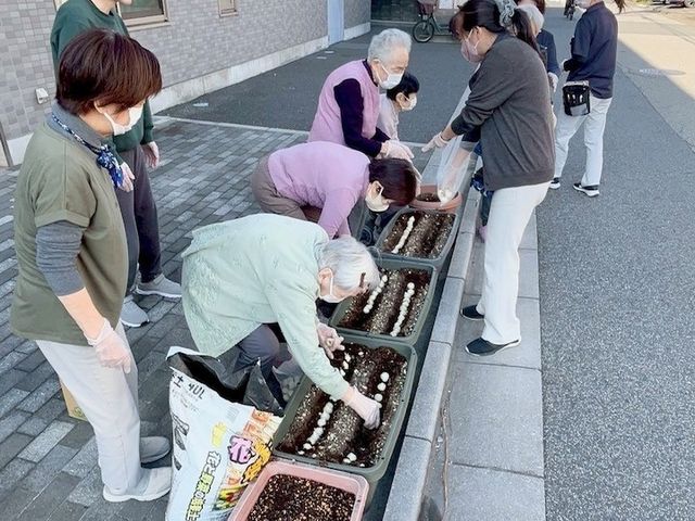 庭の植栽活動 庭 施設の庭で、スタッフと一緒に植栽活動を楽しめます。和やかな雰囲気の中で交流が深まります。