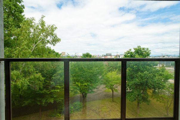 緑豊かな中庭の景色