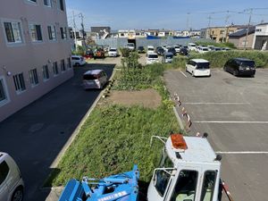 駐車場と庭