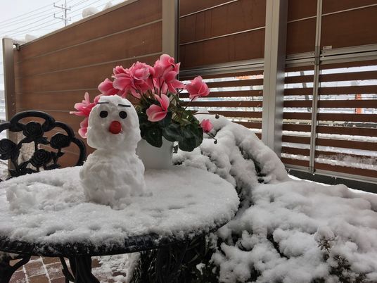 雪のテラス  