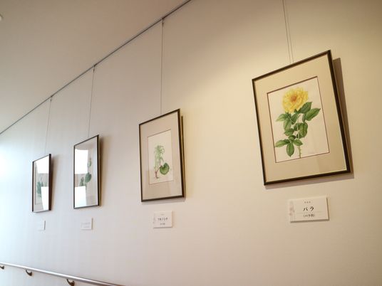 絵画飾られた壁面