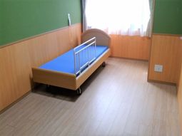 緑の壁の明るい居室