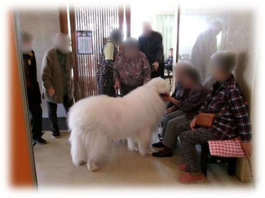 犬とのふれあい
