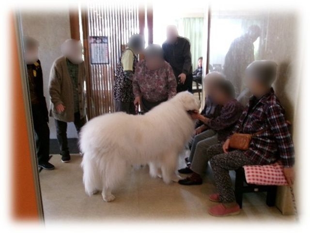犬とのふれあい リビング 暖かい雰囲気の中、人々が犬と一緒に楽しそうに過ごしている部屋です。リラックスした交流の場となっています。