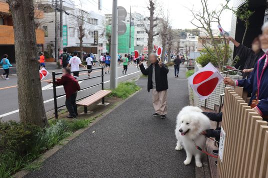 応援する人々の姿