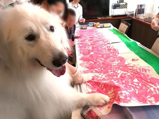 犬とレクリエーション