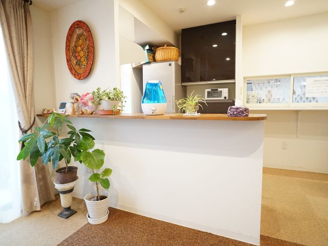 居室のキッチンカウンター キッチン 木目調のカウンターと温かい雰囲気のプランツが並ぶ居室。ご自身でお茶を淹れて、ゆっくりとした時間を過ごせます。