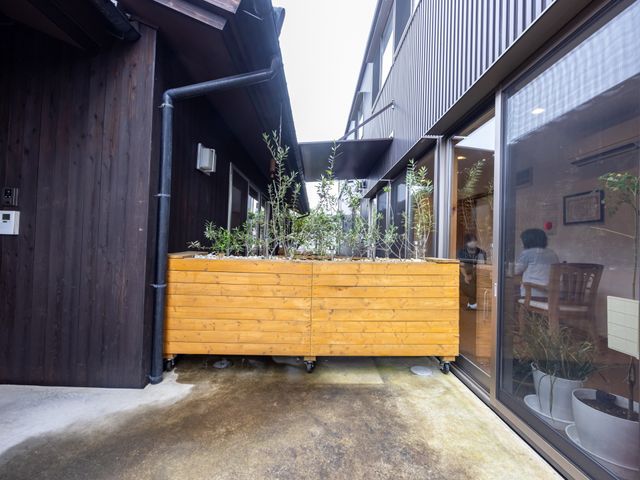 植物が並ぶ屋外スペース 外観 木製プランターで彩られたスペースです。ガラス窓からは室内の様子も窺え、自然を感じられます。