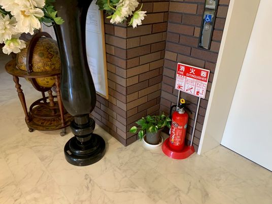 観葉植物の廊下
