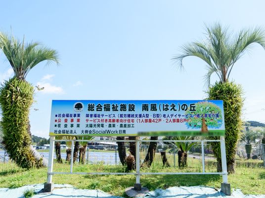 緑に囲まれた看板