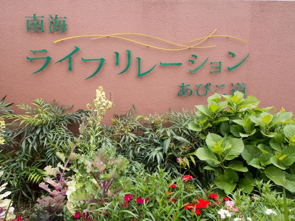 看板と緑の植物
